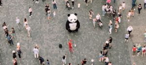 Agencia BDX Propaganda Marketing Ribeirao Pires Panda | BDX Propaganda - Agência de marketing no ABC | ABC Paulista, São Paulo